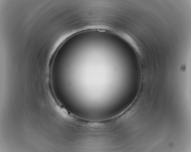 X0000092251140200709141143
