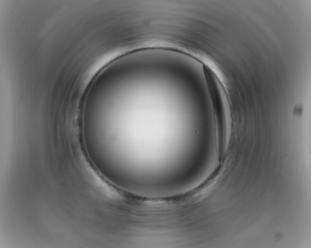 X0000092251142200709141143