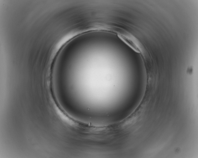 X0000092251143200709141143