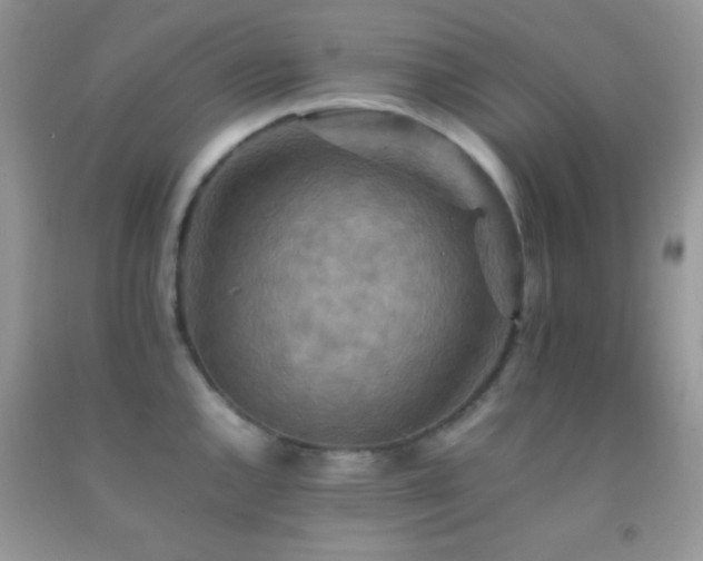 X0000092251144200709141143
