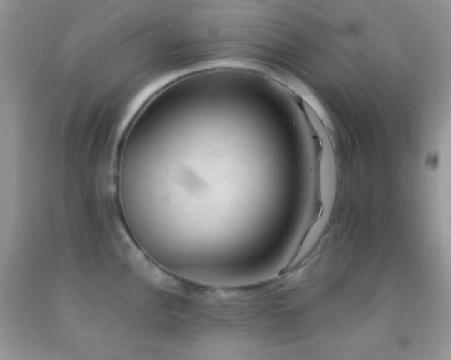 X0000092251148200709141143
