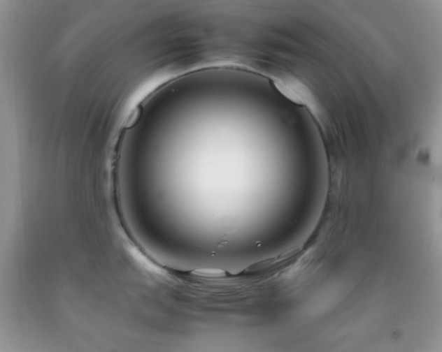 X0000092251151200709141143