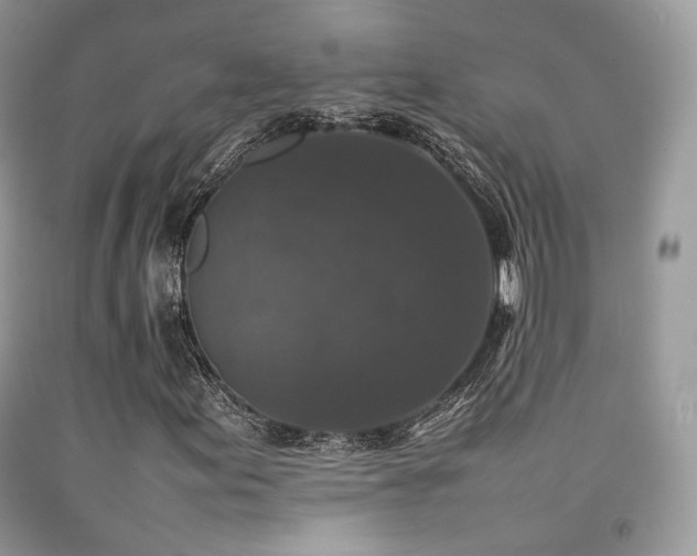 X0000092251155200709141142