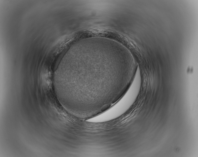 X0000092251156200709141142