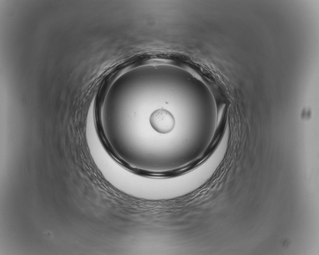 X0000092251157200709141142