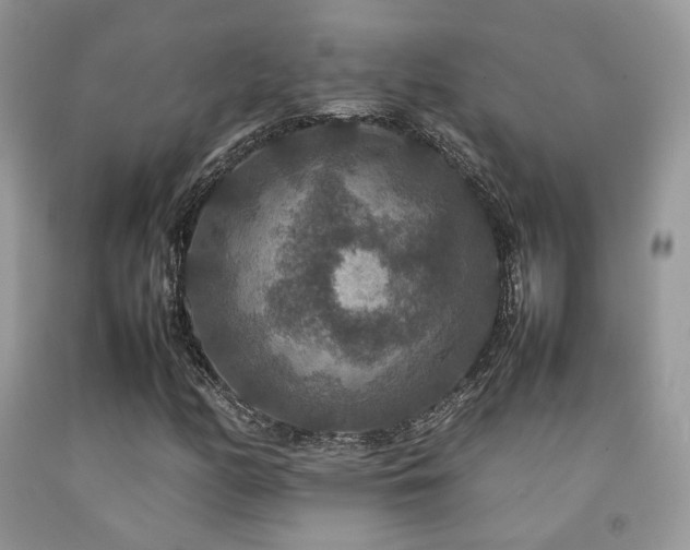 X0000092251158200709141142