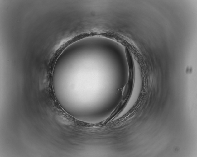 X0000092251160200709141142