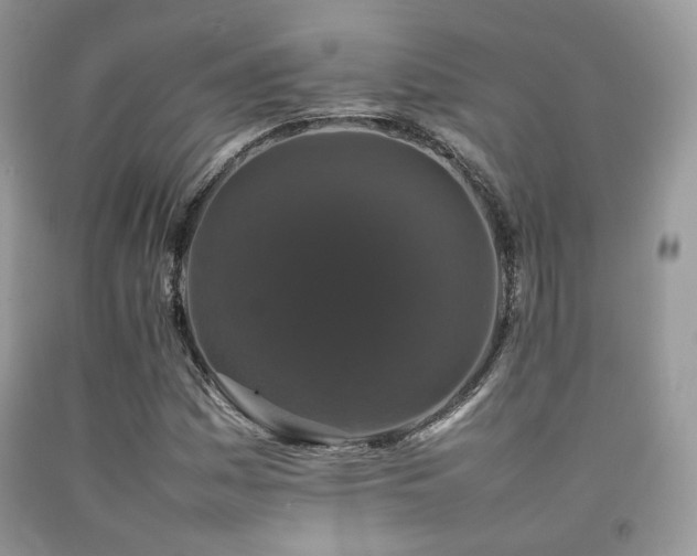 X0000092251161200709141142