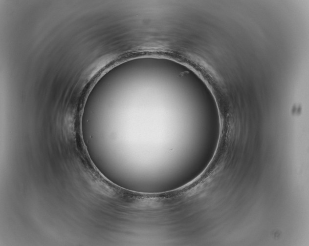 X0000092251162200709141142