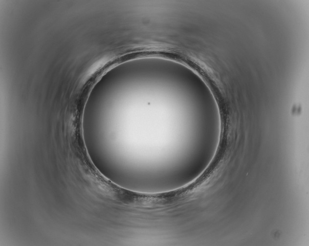 X0000092251163200709141142
