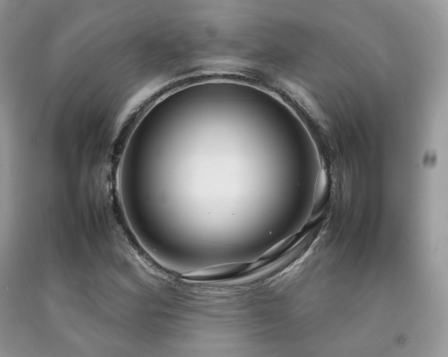 X0000092251164200709141142