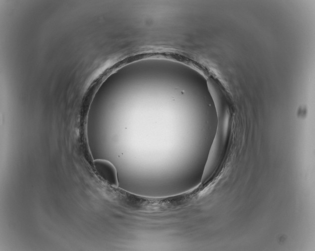 X0000092251165200709141142