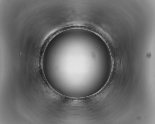 X0000092251166200709141142