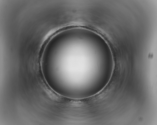 X0000092251168200709141142