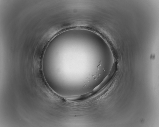 X0000092251169200709141142