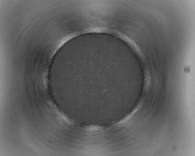 X0000092251170200709141142