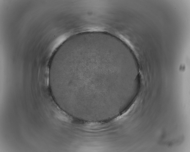X0000092251171200709141142