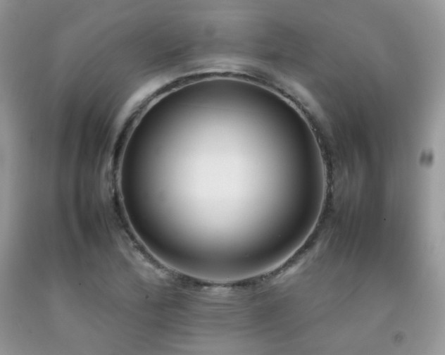 X0000092251172200709141142
