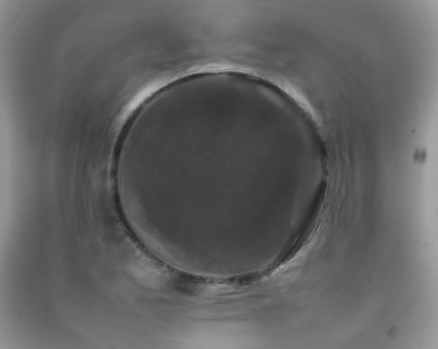 X0000092251173200709141142