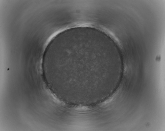 X0000092251174200709141142