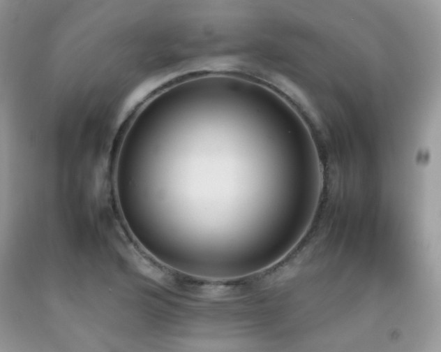 X0000092251176200709141142