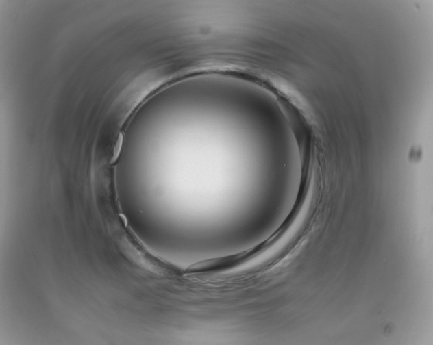X0000092251177200709141142