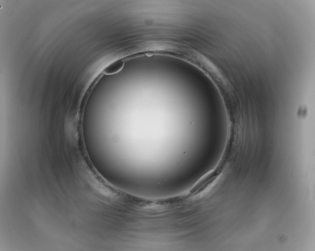 X0000092251178200709141142