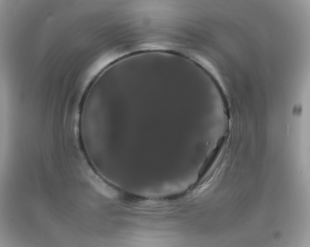 X0000092251179200709141142
