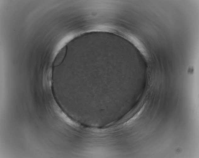 X0000092251180200709141142