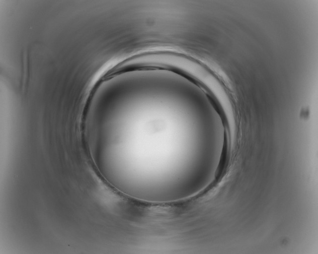 X0000092251181200709141142