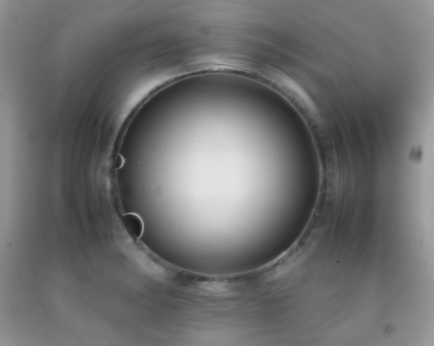 X0000092251182200709141142