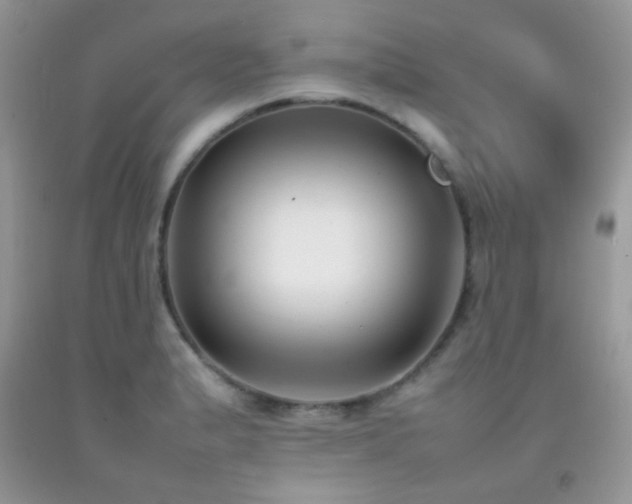 X0000092251183200709141142