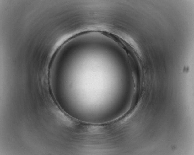 X0000092251184200709141142