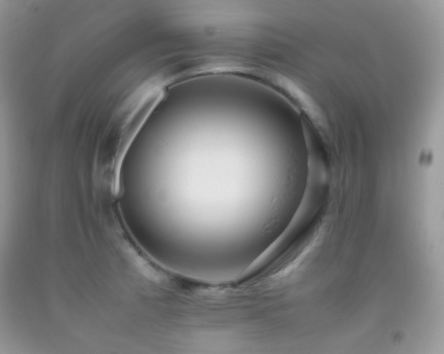 X0000092251185200709141142