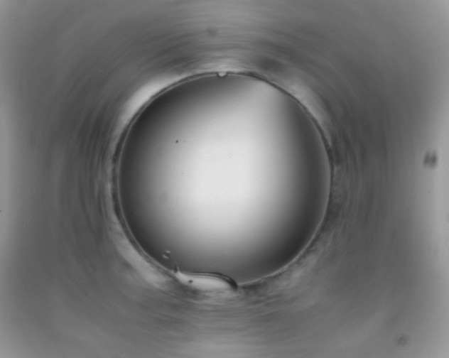 X0000092251187200709141142