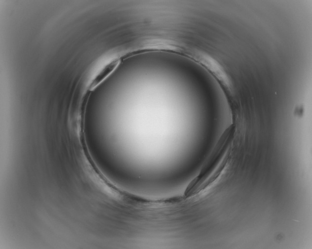 X0000092251188200709141142