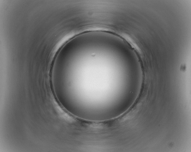X0000092251189200709141142