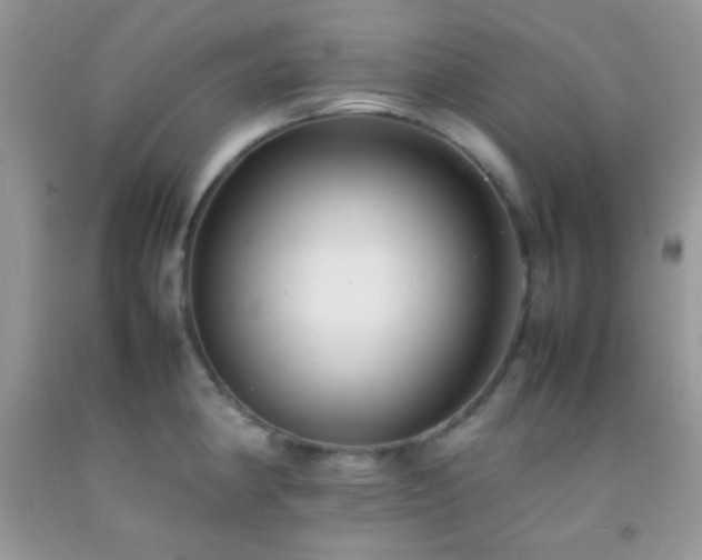 X0000092251190200709141142