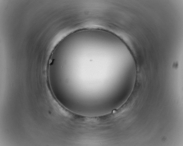 X0000092251191200709141142