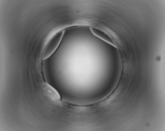 X0000092251192200709141142