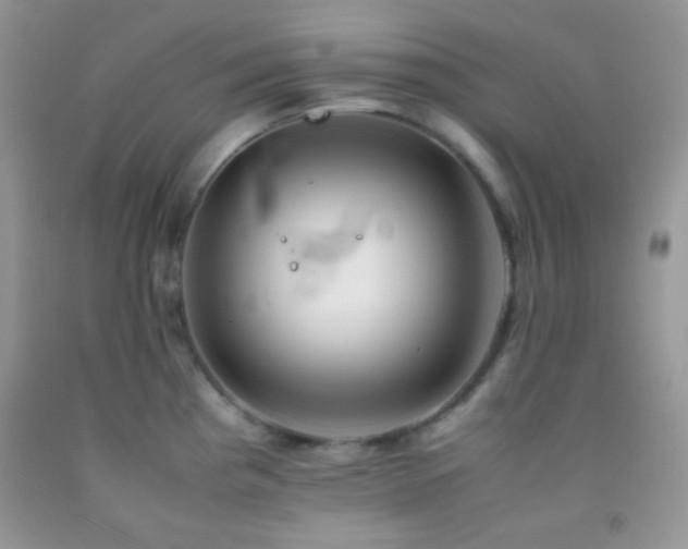 X0000092251193200709141142