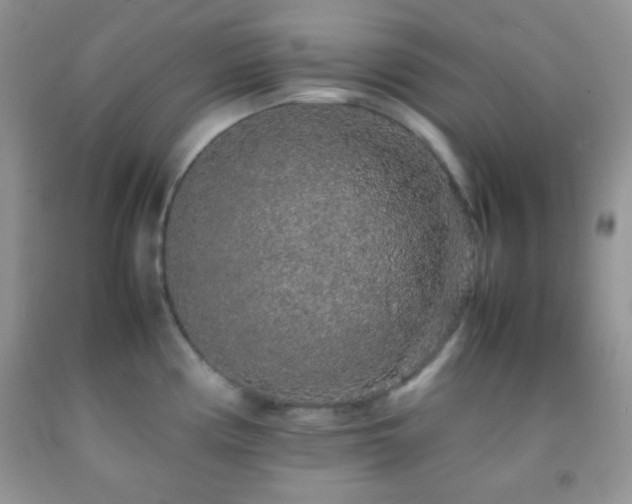 X0000092251194200709141142