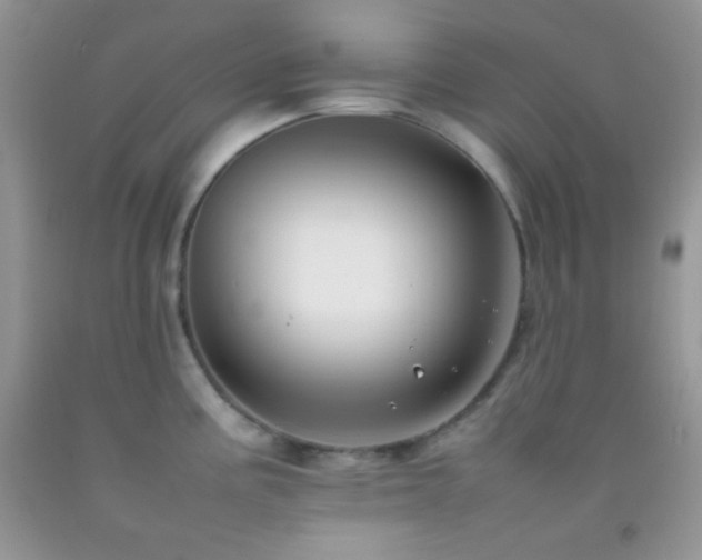 X0000092251195200709141142