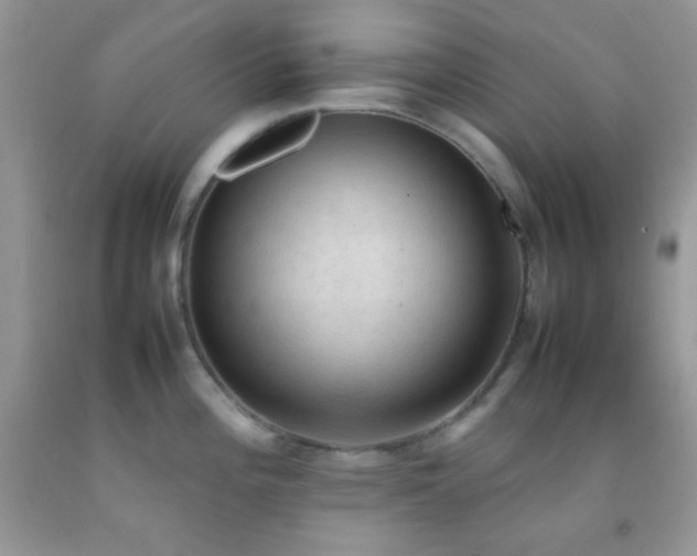 X0000092251196200709141142