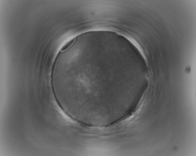 X0000092251197200709141142