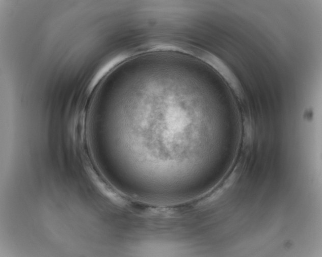 X0000092251198200709141142