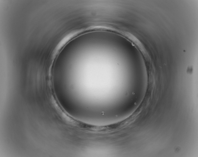 X0000092251199200709141141