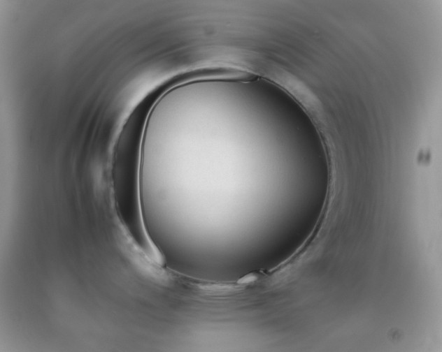 X0000092251200200709141141