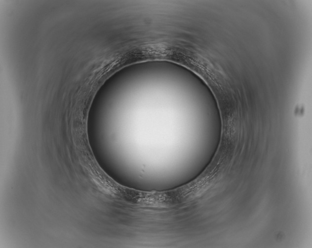 X0000092251201200709141141