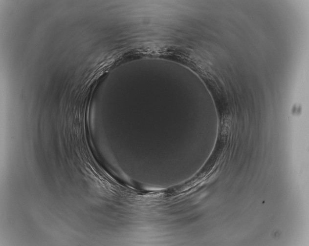 X0000092251202200709141141